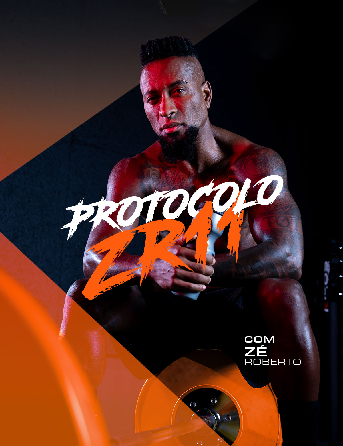 Capinha_ZEROBERTO_Site_1200x1557