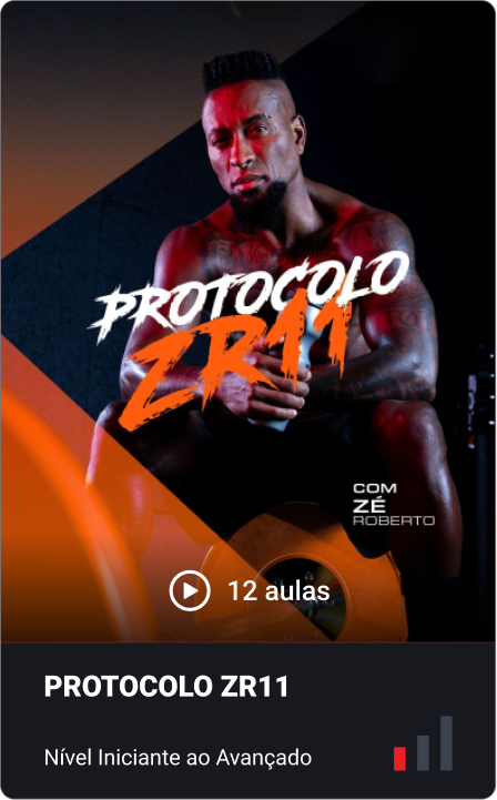 programa-protocolo-zr11